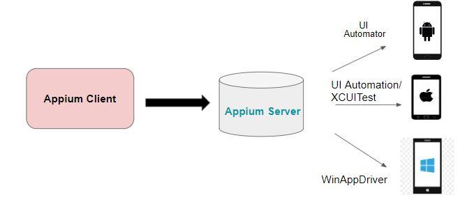 if you want to create an Appium automation framework in java, you will download the java appium client libraries add them into my framework and then use its functions
